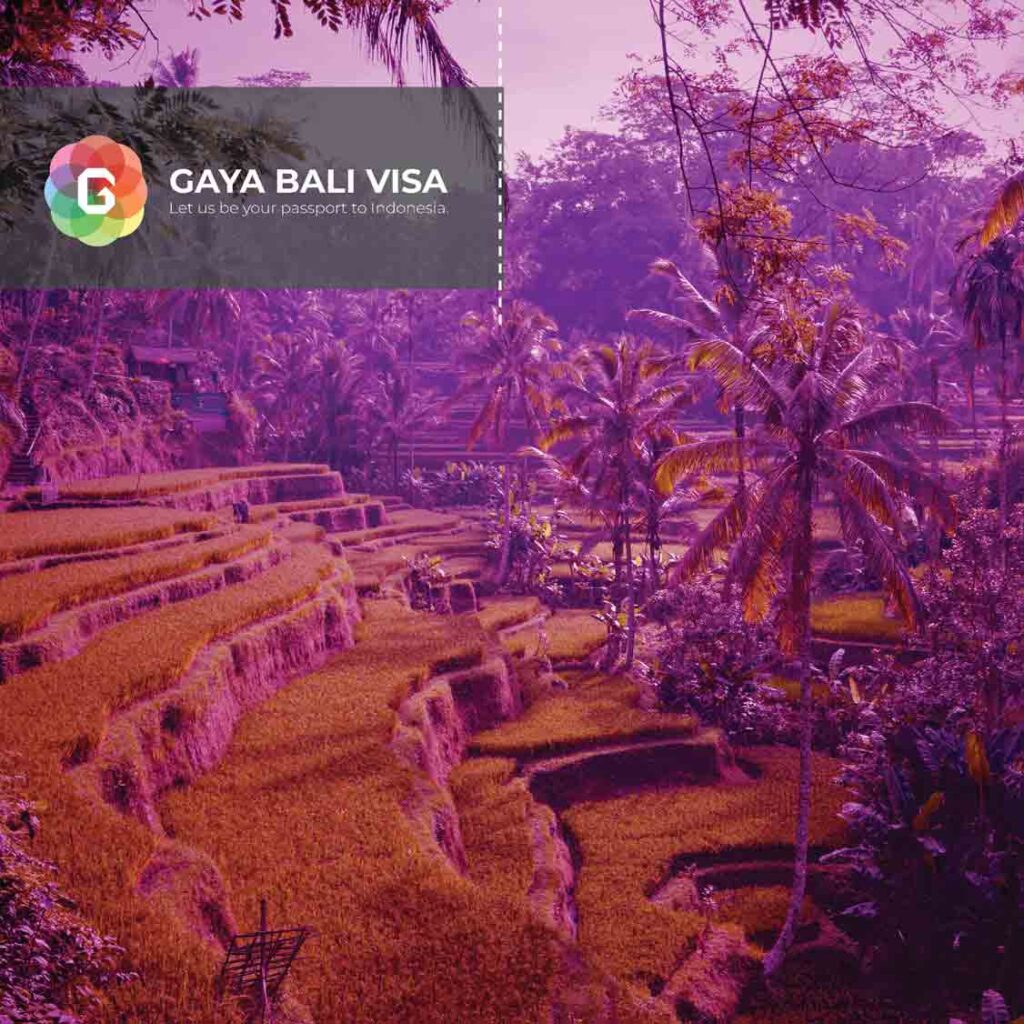 Picture of the Product Visa On Arrival Gaya Bali Visa