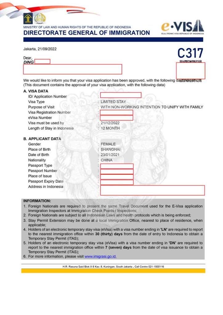 Document of the C317 e-visa Family KITAS