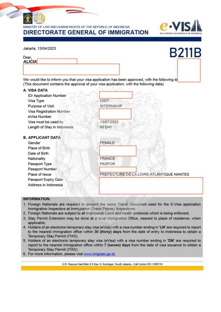 Document of the evisa B211B Business Visa for Internship