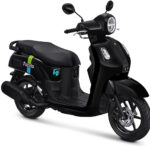 Fazzio Black