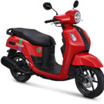 Fazzio Red