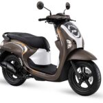 Honda-Scoopy-Brown-2026